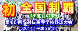 龍谷大平安硬式野球部応援サイト